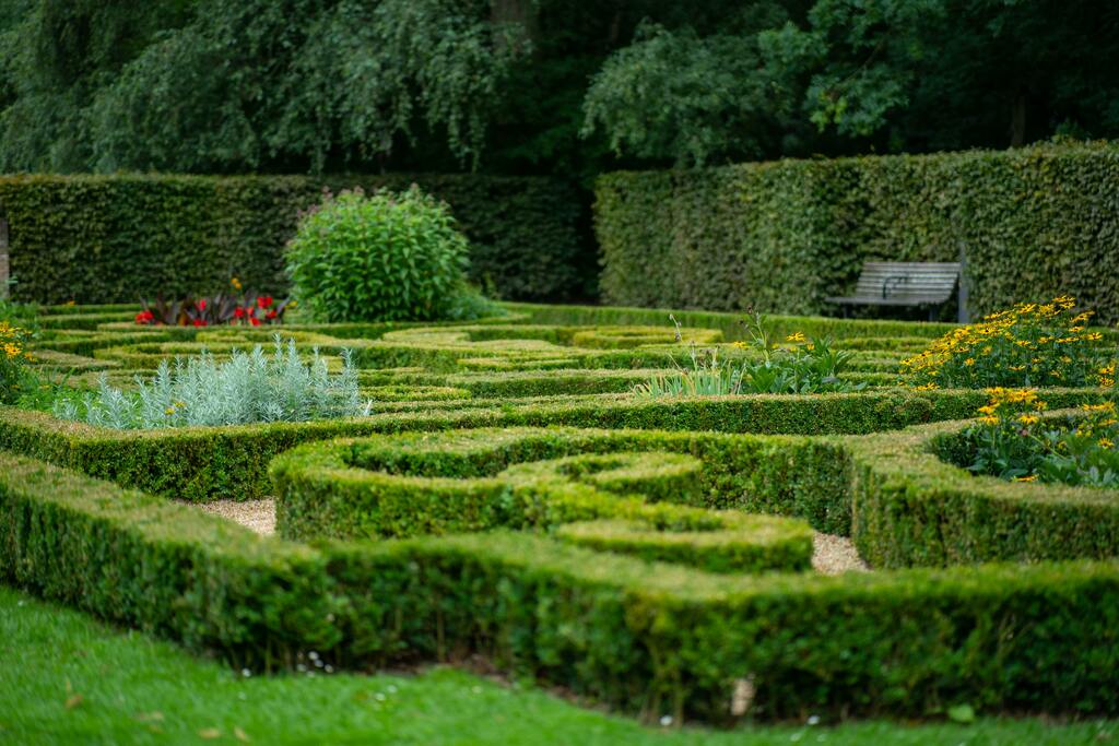 explore a stunning hedge maze in a serene garden park perfect for nature walks and relaxation
